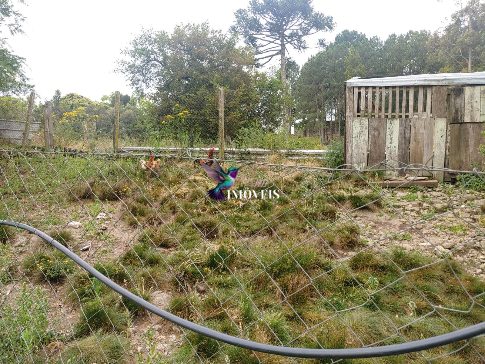 Chácara à venda com 4 quartos, 31000m² - Foto 41