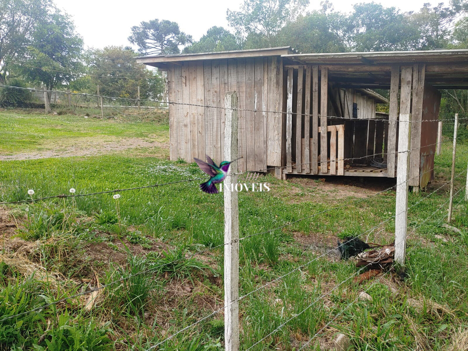 Chácara à venda com 4 quartos, 31000m² - Foto 45