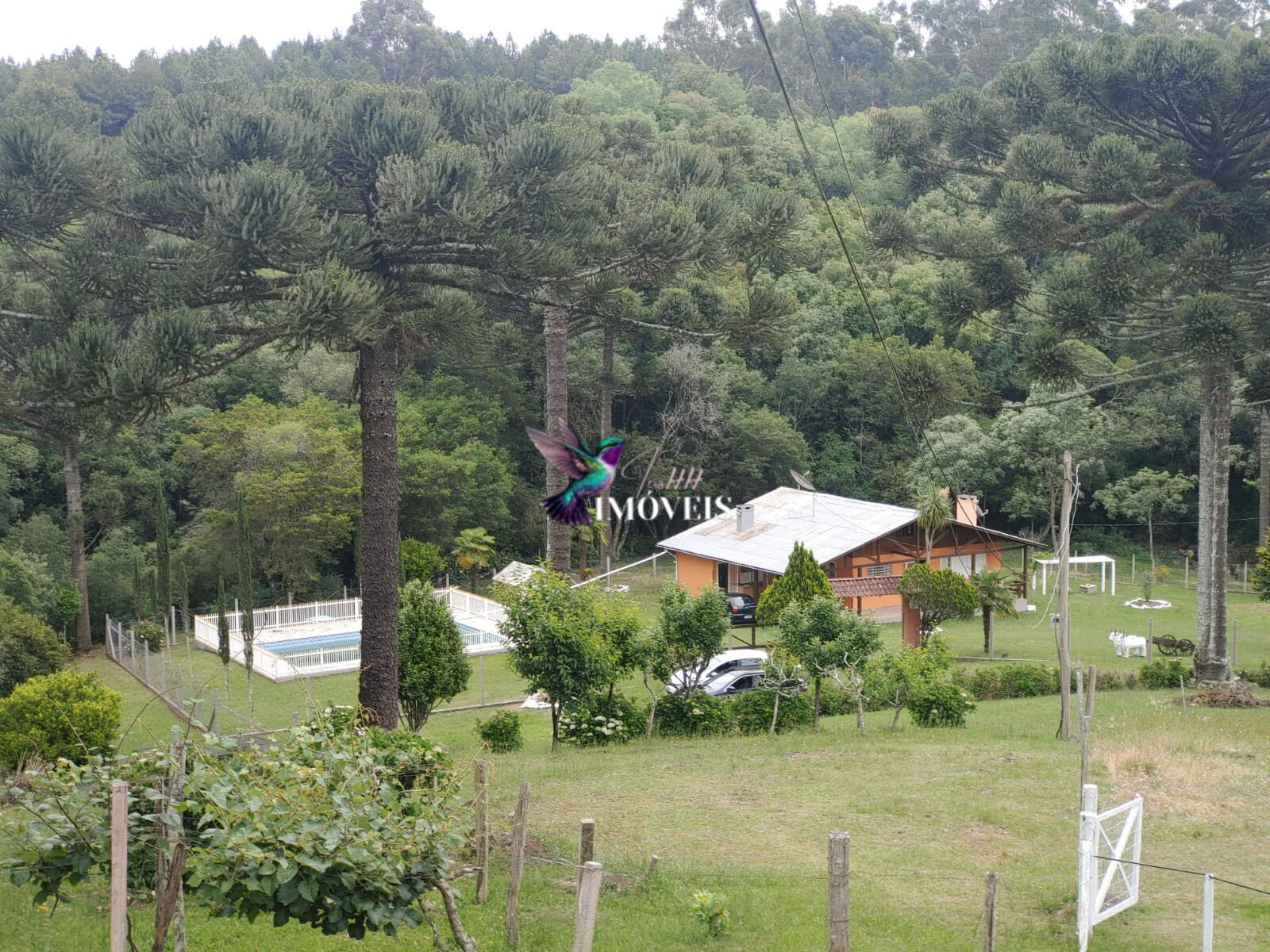 Chácara à venda com 4 quartos, 31000m² - Foto 35