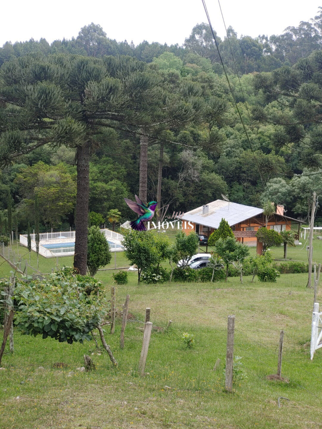 Chácara à venda com 4 quartos, 31000m² - Foto 37