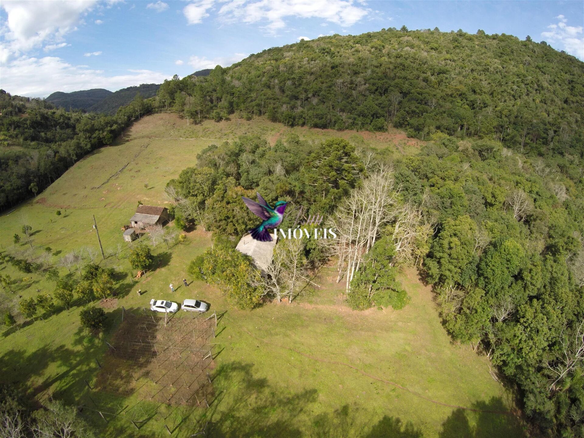 Fazenda à venda, 240000m² - Foto 5