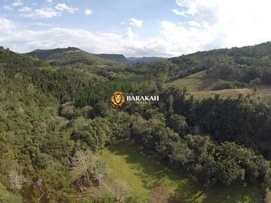 Sítio, 22 hectares - Foto 9