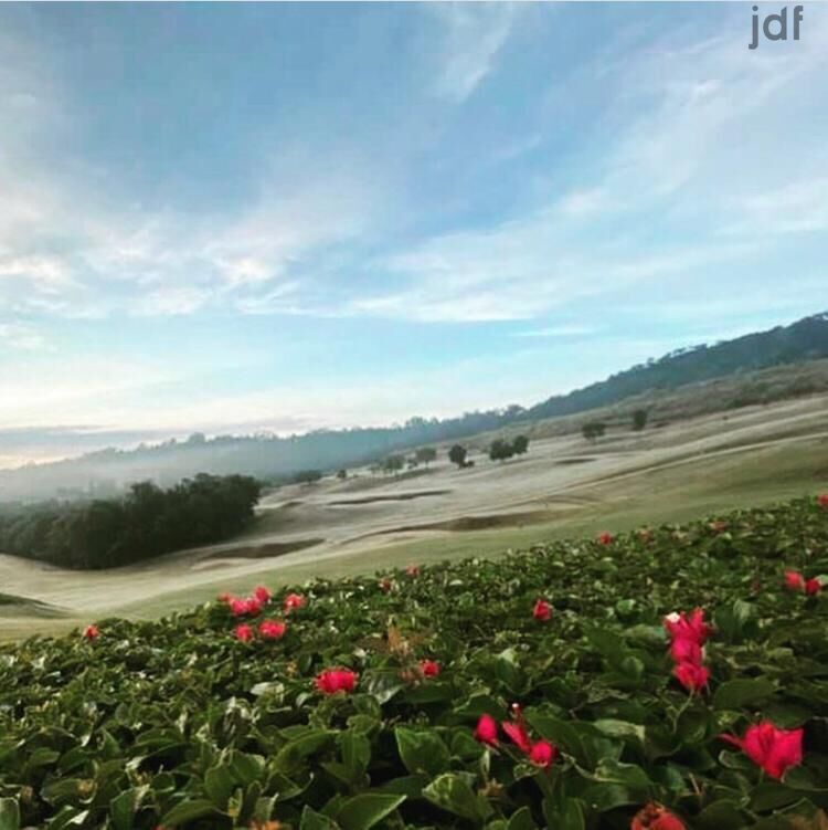 Terreno em Vila Darcy Penteado (Mailasqui), São Roque - Foto 38