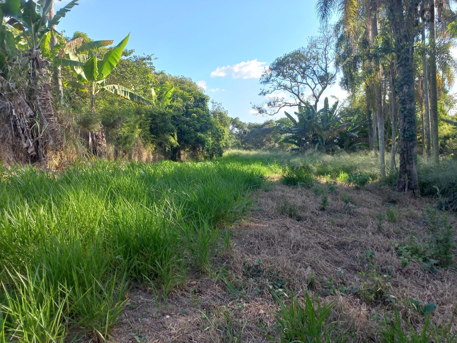 Terreno em Porta do Sol, Mairinque - Foto 6