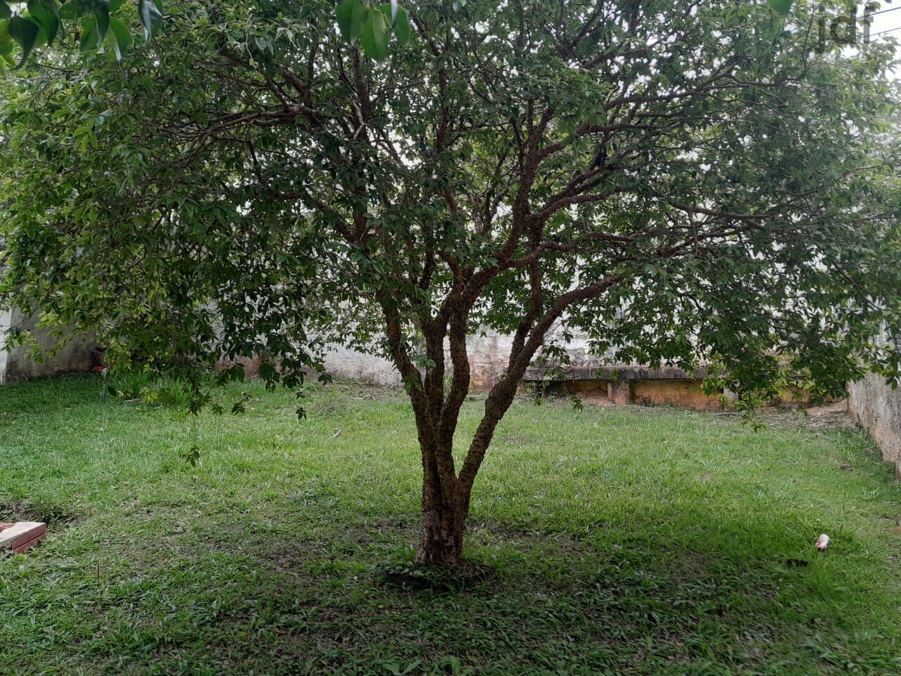 Chácara em Porta do Sol, Mairinque - Foto 9