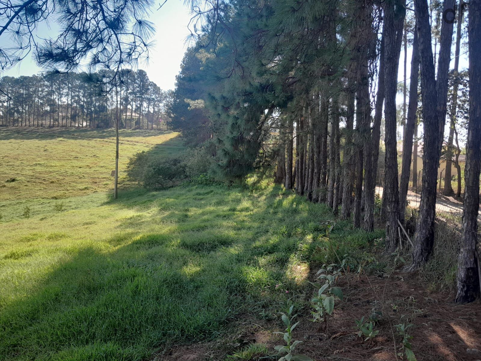 Terreno em Moreiras, Mairinque - Foto 16