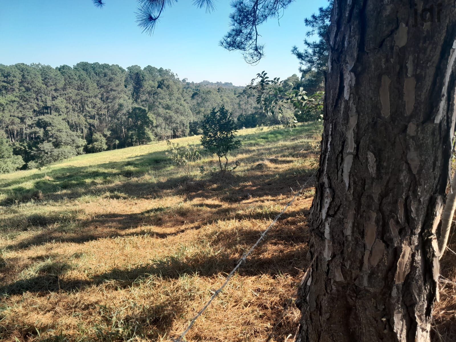 Terreno em Moreiras, Mairinque - Foto 10