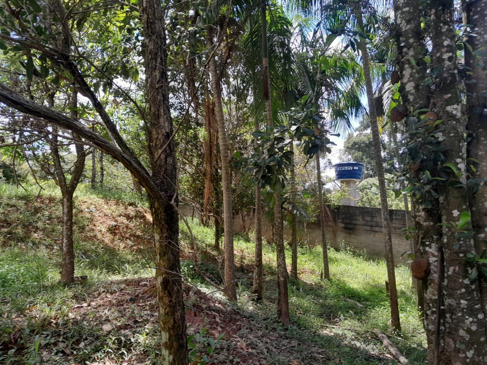 Chácara em Cristal, Mairinque - Foto 15