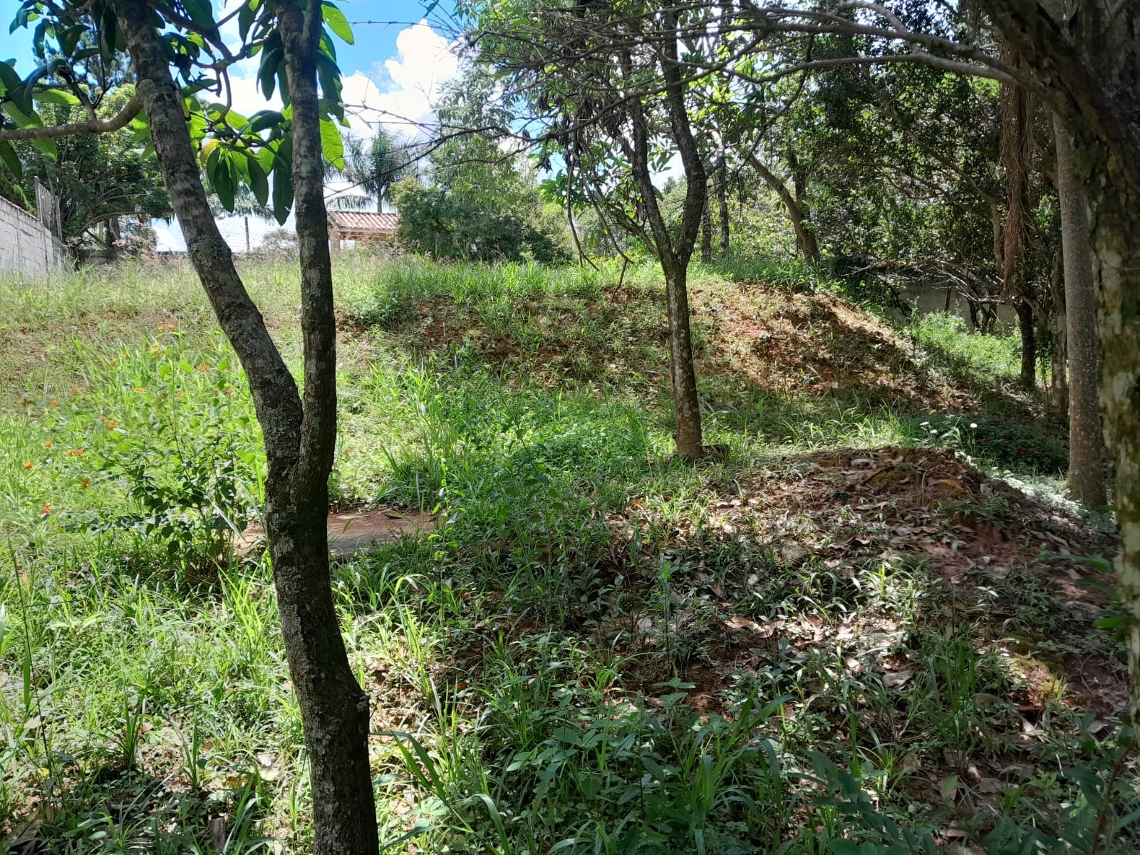 Chácara em Cristal, Mairinque - Foto 10