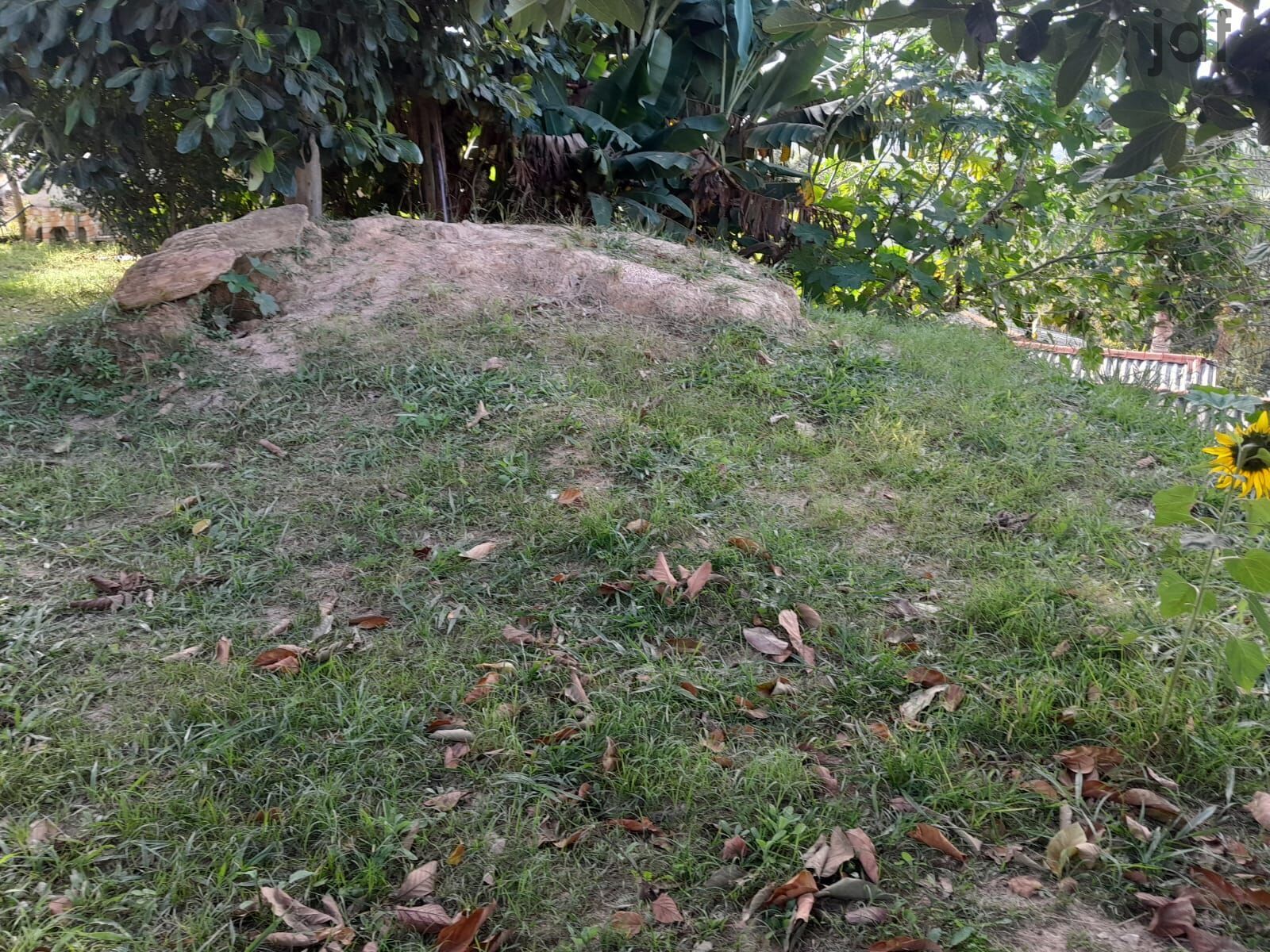 Chácara em Dona Catarina, Mairinque - Foto 27