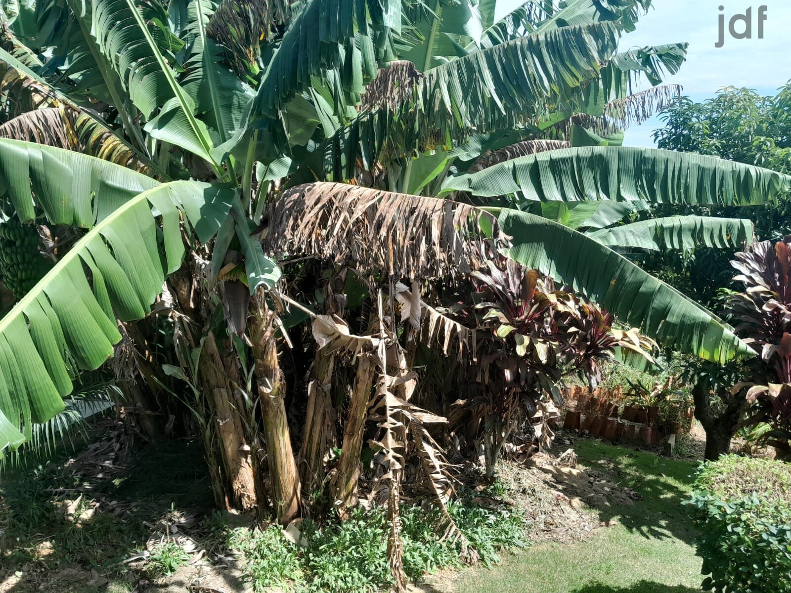Chácara em Moreiras, Mairinque - Foto 11