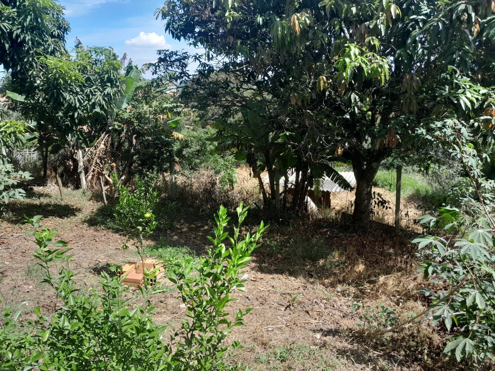 Chácara em Moreiras, Mairinque - Foto 9