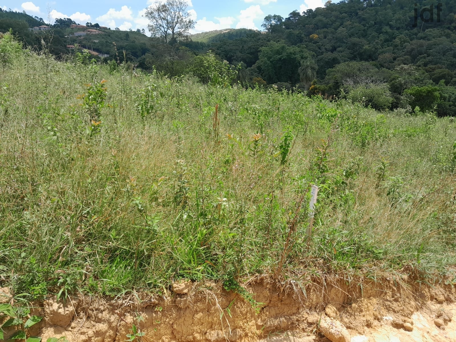 Terreno em Pitangueiras, Mairinque - Foto 5