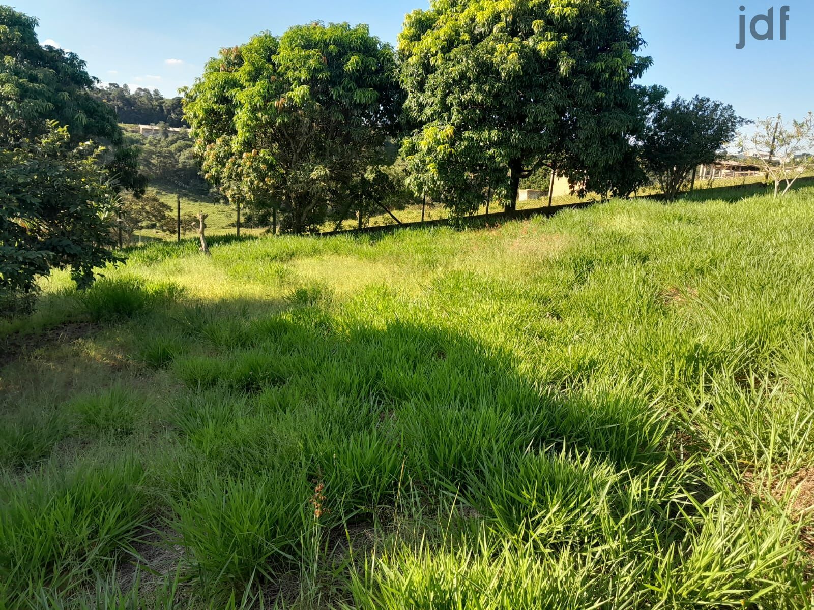 Residential / Agricultural em Dona Catarina, Mairinque - Foto 15
