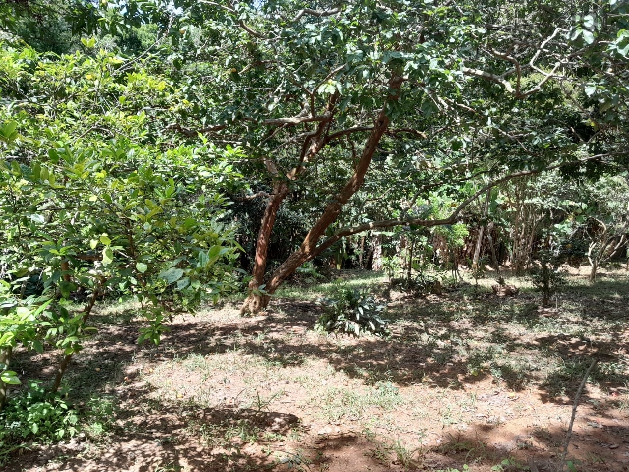 Chácara em Cristal, Mairinque - Foto 39