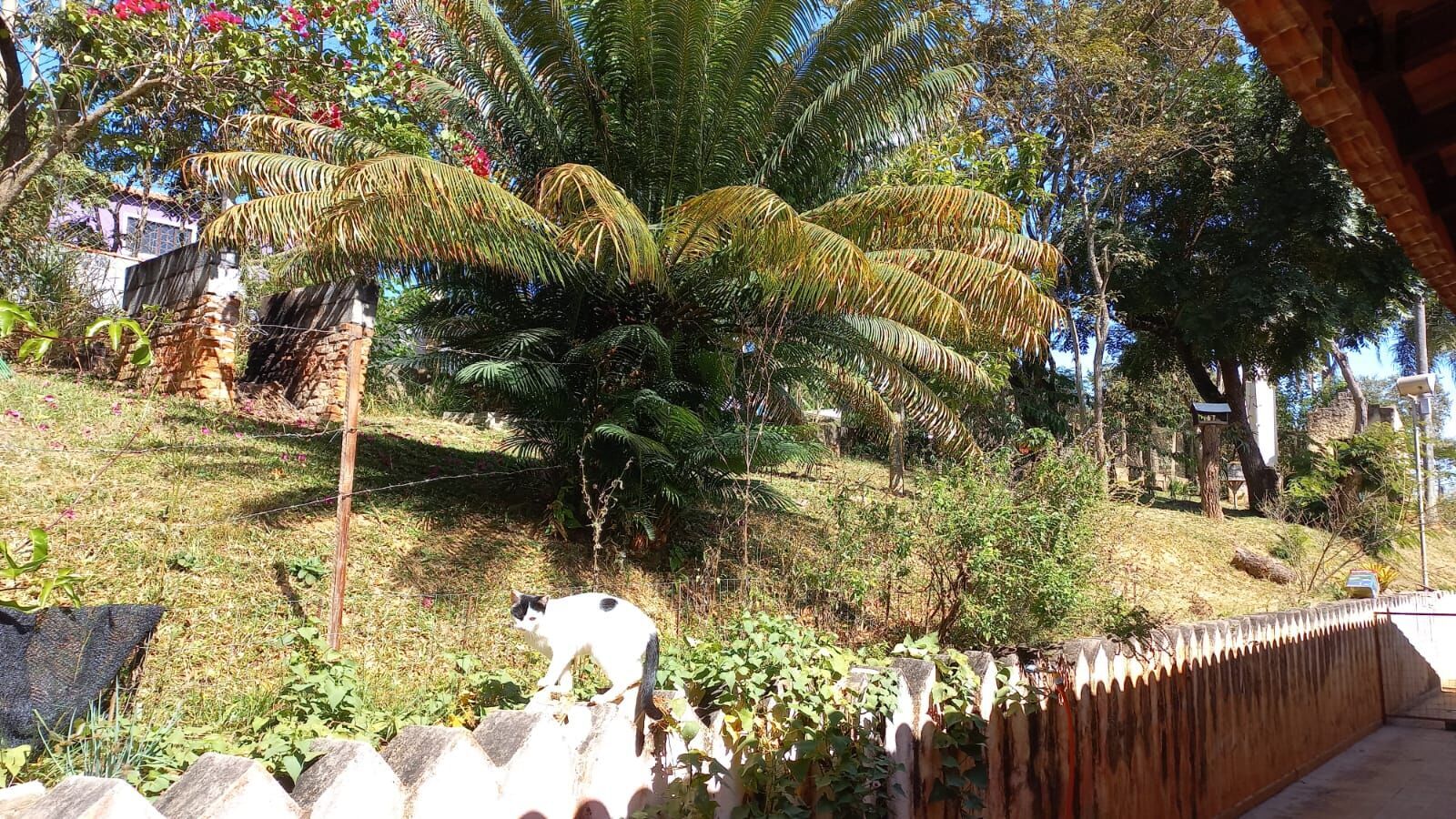 Chácara em Pitangueiras, Mairinque - Foto 20