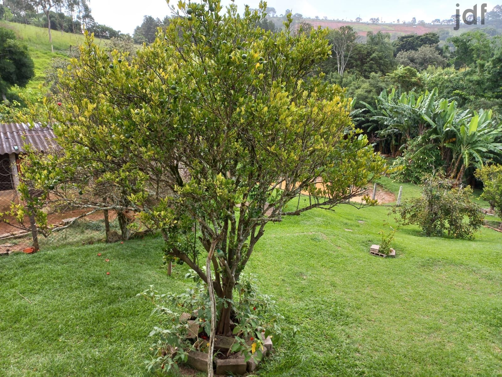 Residential / Agricultural em Vale da Esperança, Mairinque - Foto 21