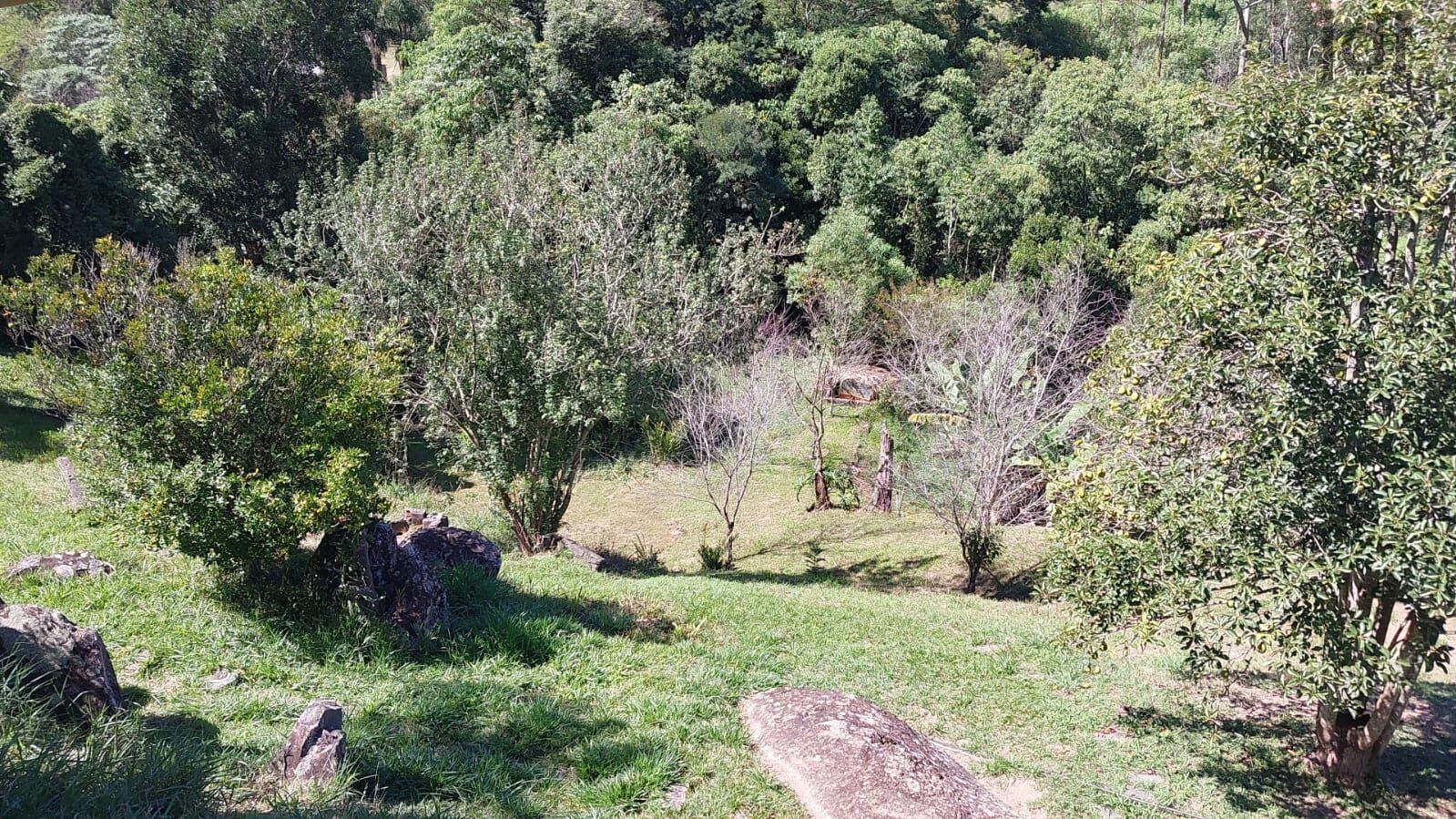 Chácara em Caete (Mailasqui), São Roque - Foto 4