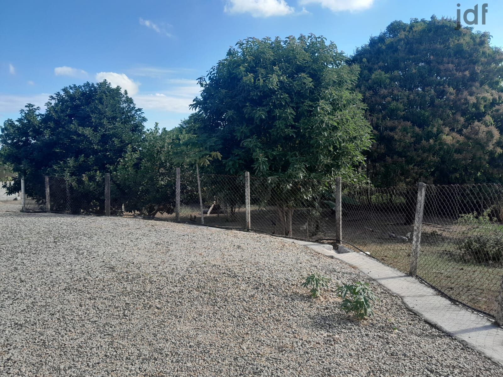Residential / Agricultural em Dona Catarina, Mairinque - Foto 19