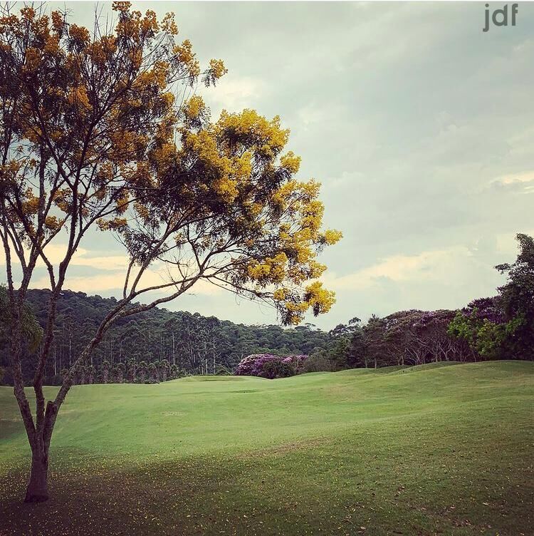 Terreno em Vila Darcy Penteado (Mailasqui), São Roque - Foto 14