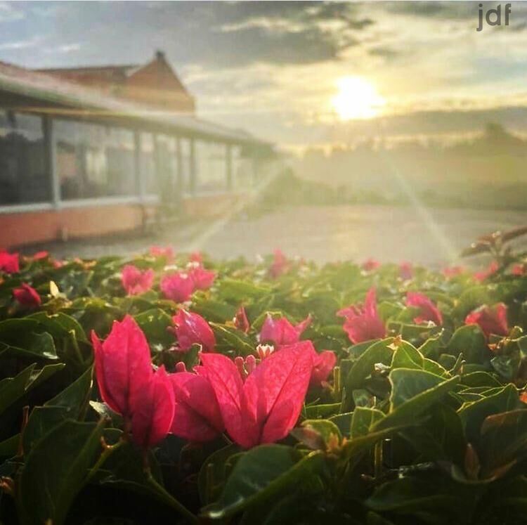 Terreno em Vila Darcy Penteado (Mailasqui), São Roque - Foto 15