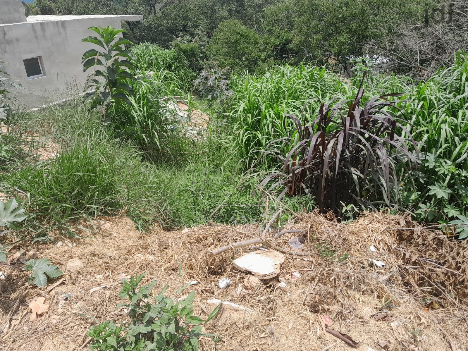 Terreno em Moreiras, Mairinque - Foto 5