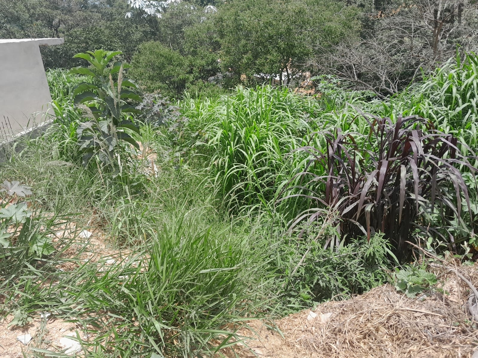 Terreno em Moreiras, Mairinque - Foto 6
