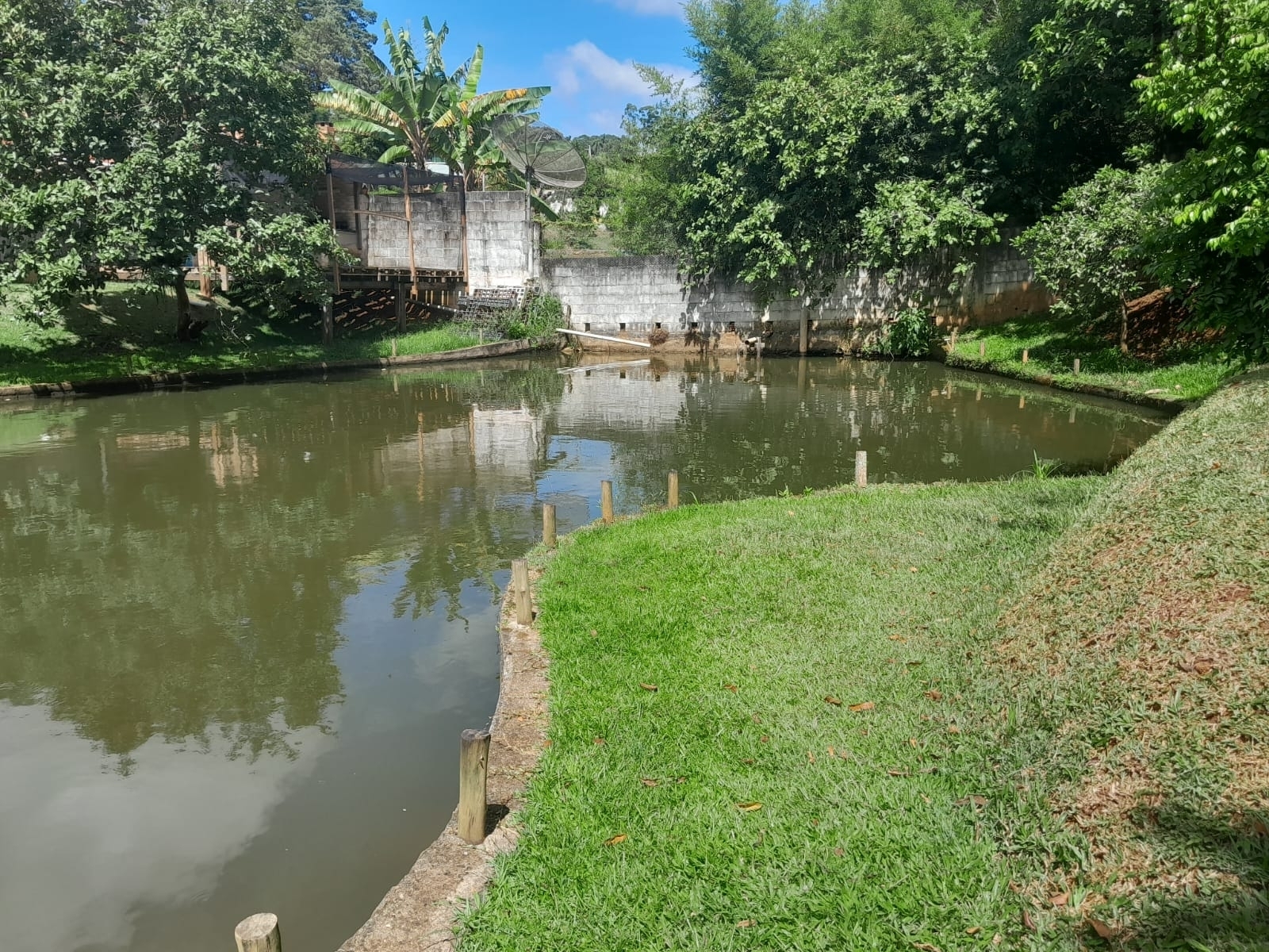 Chácara em Dona Catarina, Mairinque - Foto 13