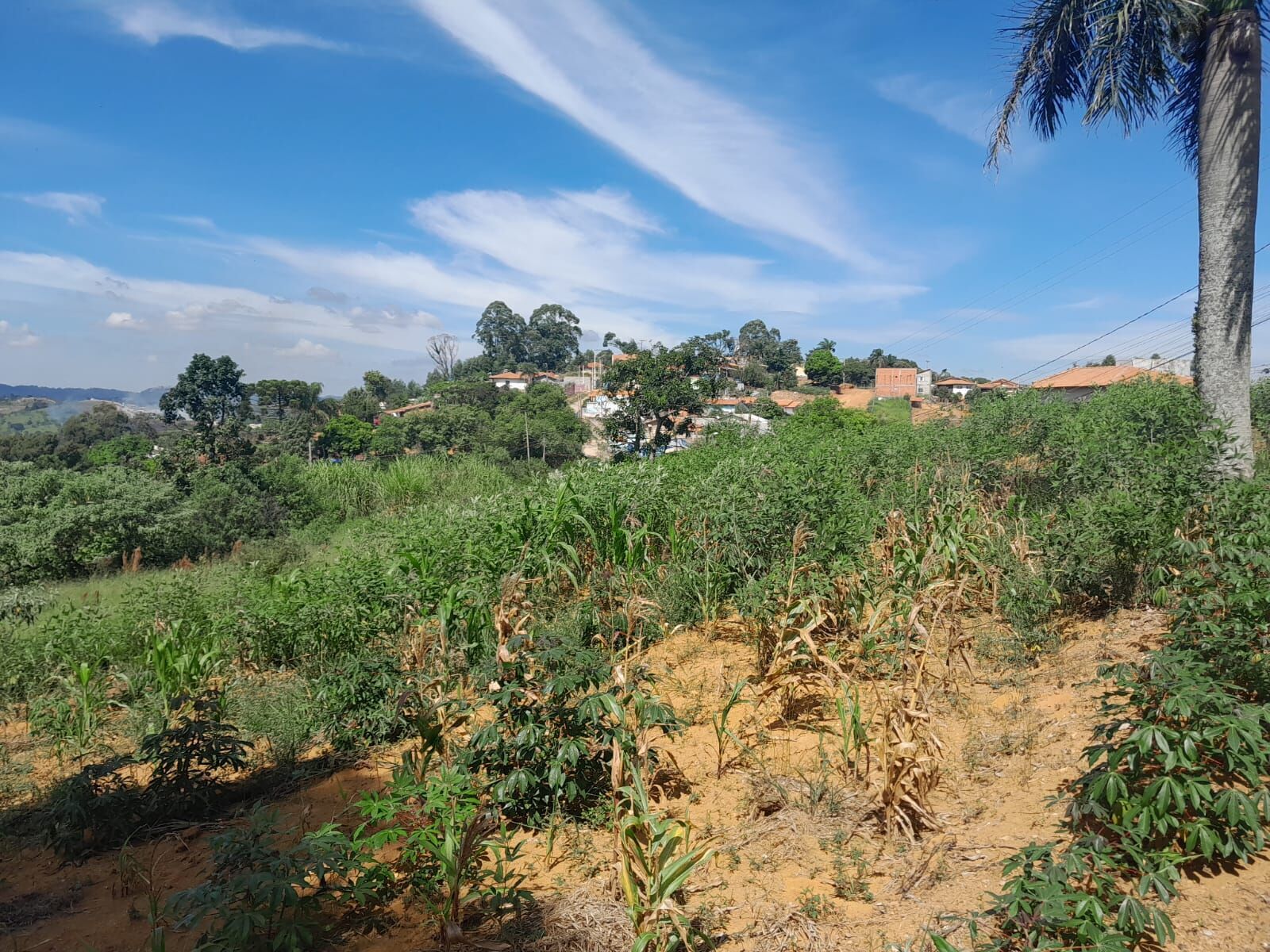 Terreno em Moreiras, Mairinque - Foto 6