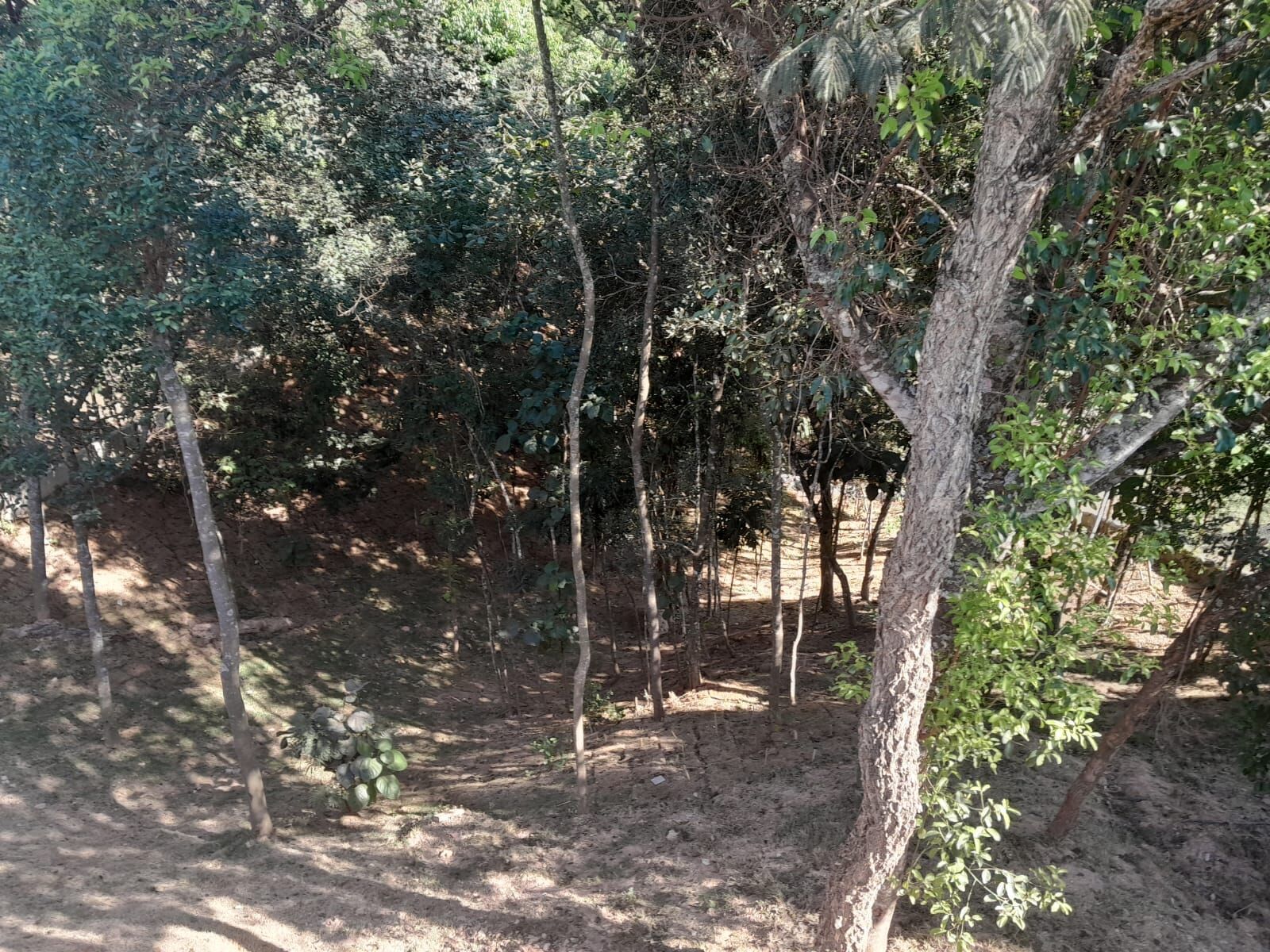 Chácara em Moreiras, Mairinque - Foto 14