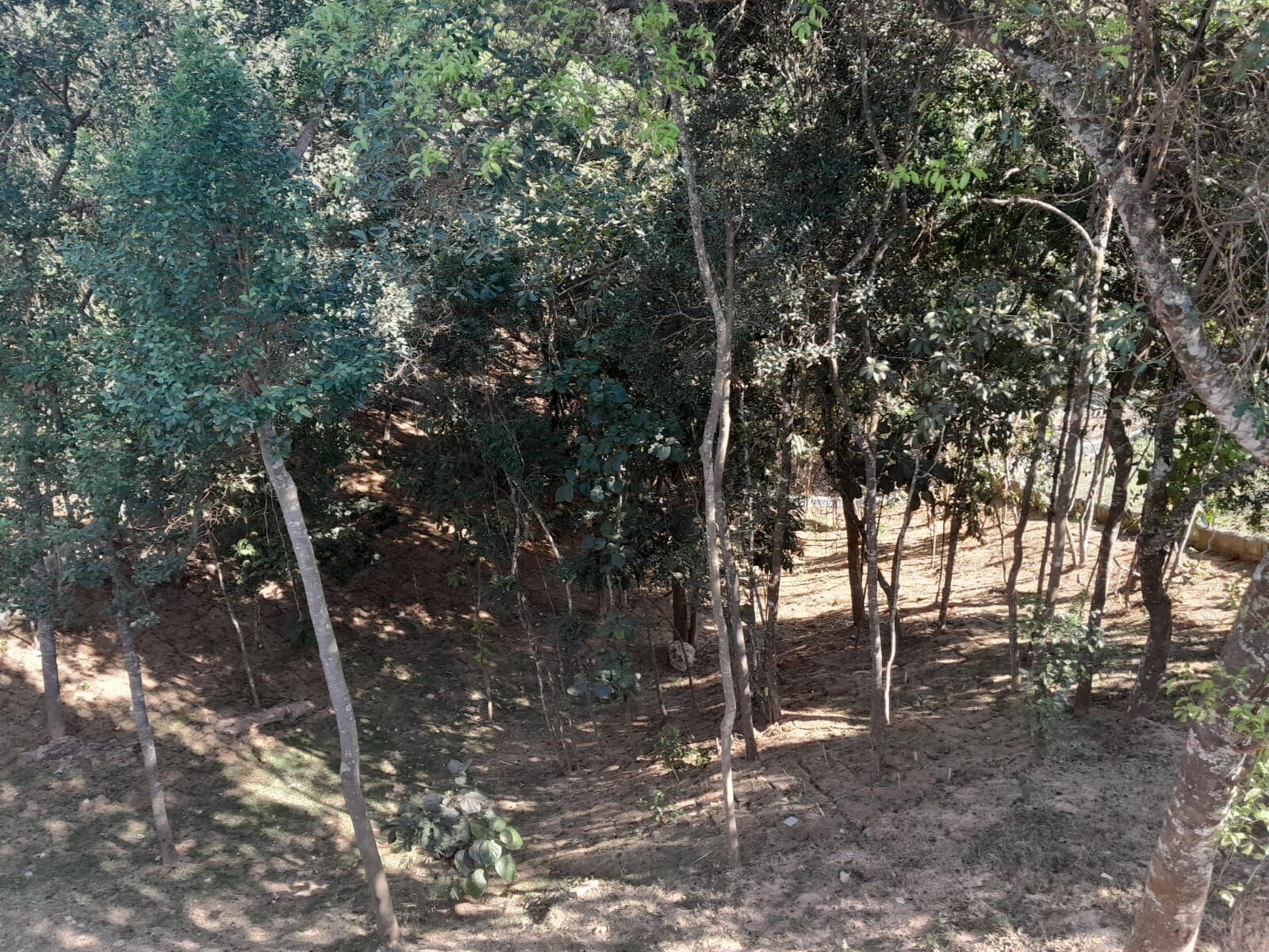 Chácara em Moreiras, Mairinque - Foto 6