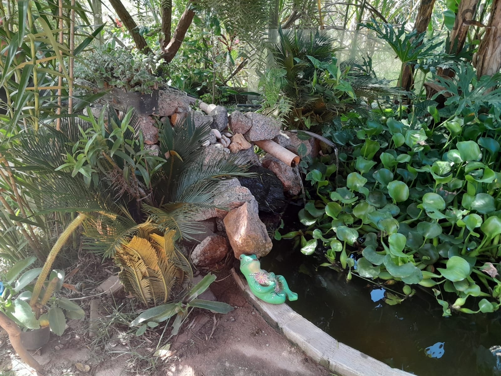 Chácara em Moreiras, Mairinque - Foto 6