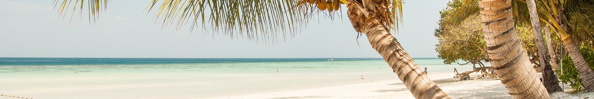 Solemar Imobiliária - CRECI J 46.996