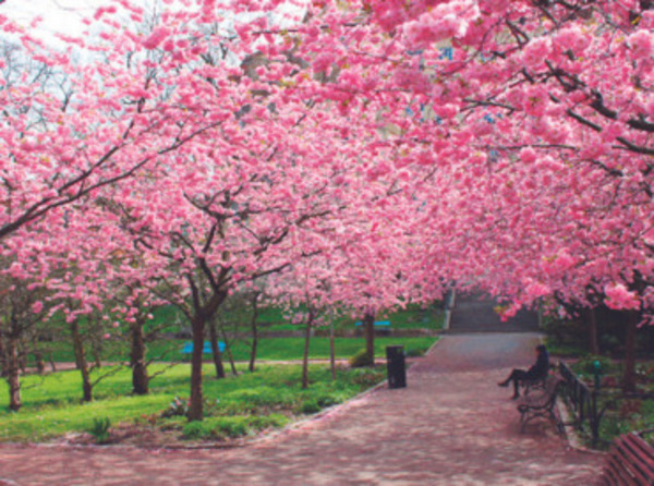 17 Lugares Para Conhecer Na Zona Leste De São Paulo