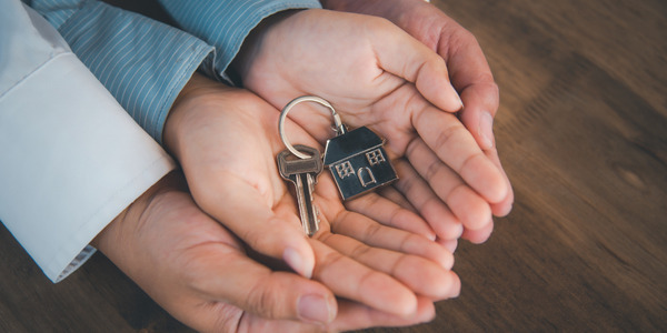 Serviços de Assessoria Jurídico Administrativa Negocial