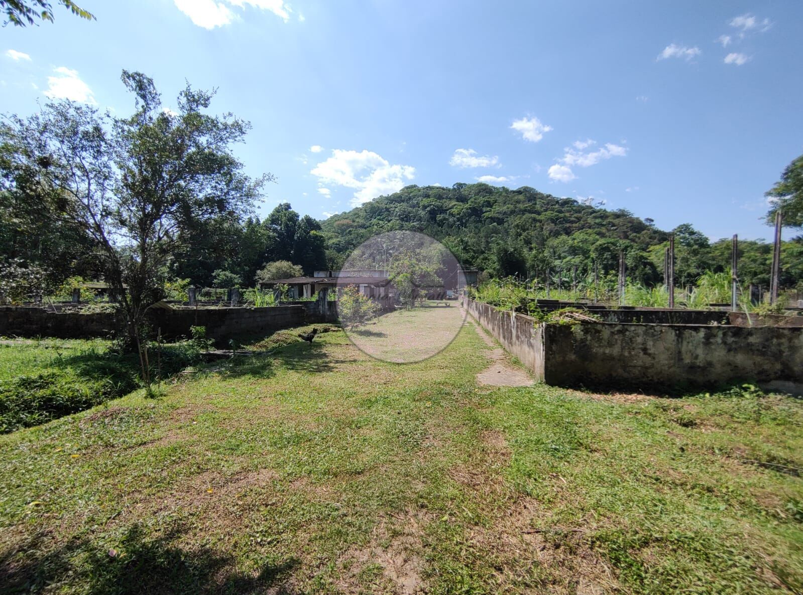 Fazenda à venda com 3 quartos, 15000m² - Foto 42