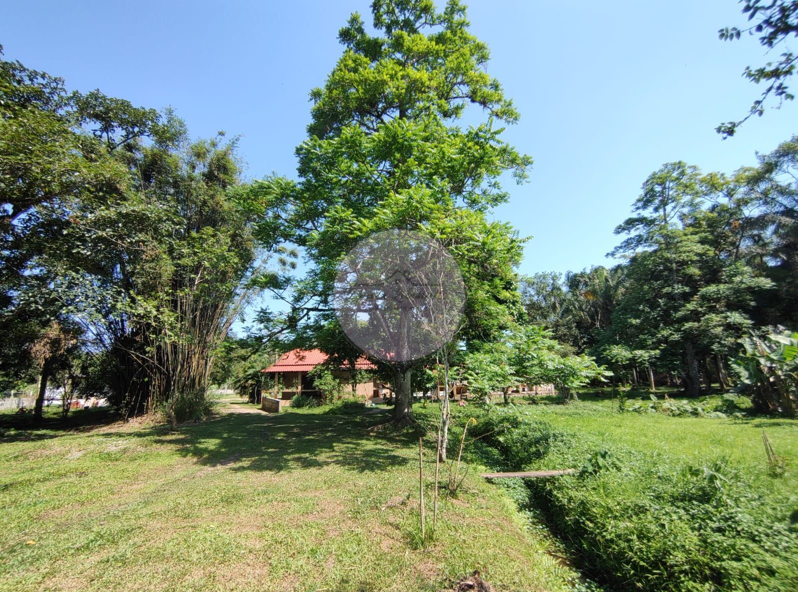 Fazenda à venda com 3 quartos, 15000m² - Foto 3