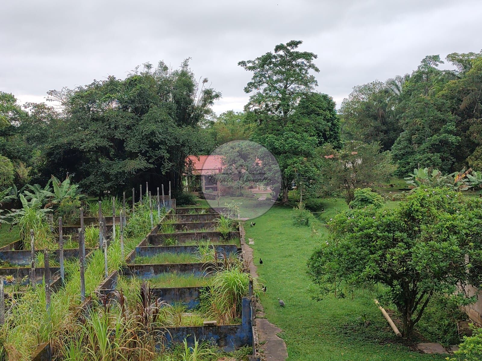 Fazenda à venda com 3 quartos, 15000m² - Foto 47