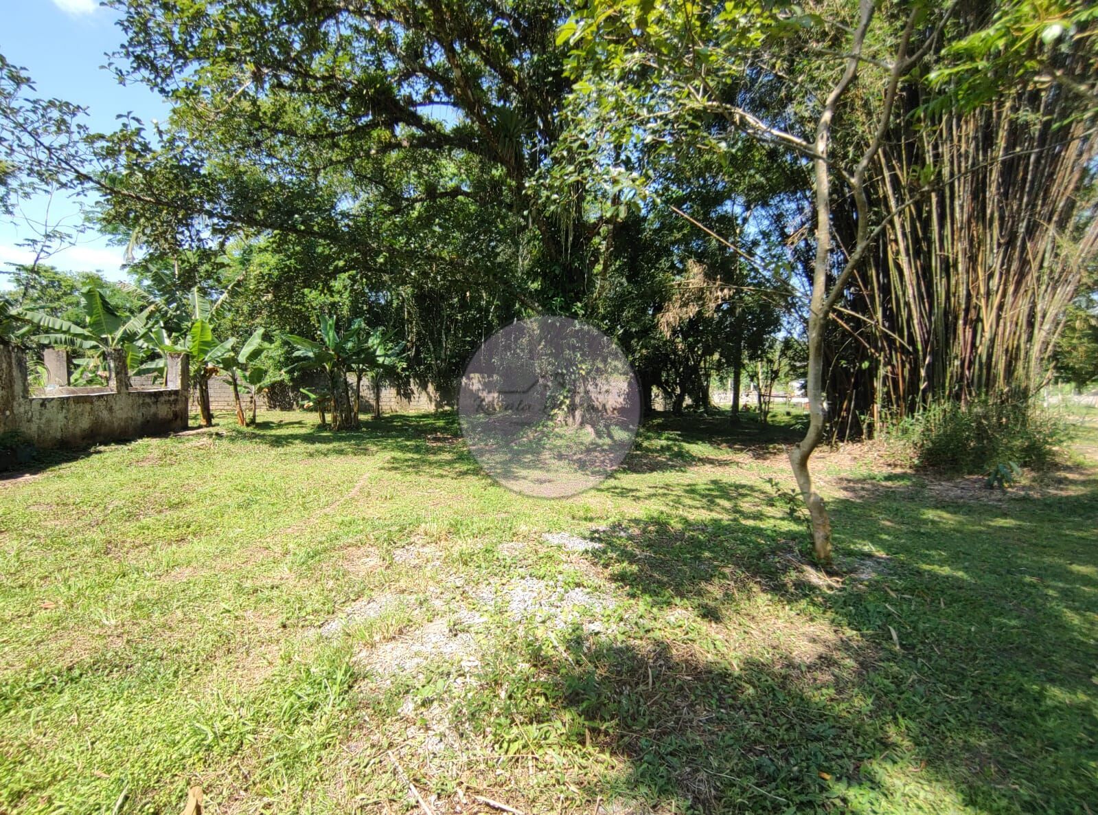 Fazenda à venda com 3 quartos, 15000m² - Foto 2