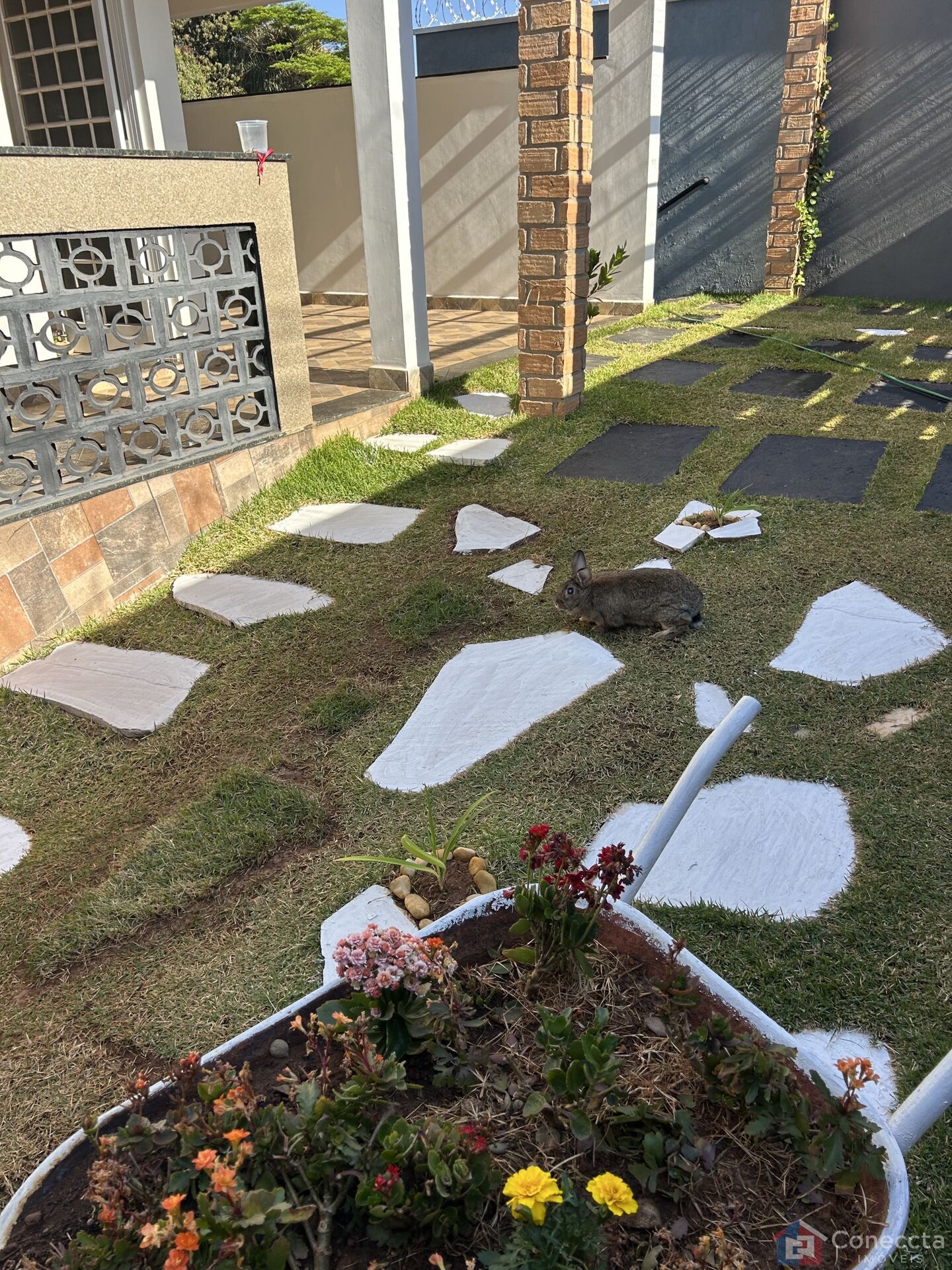 Casa, 3 quartos, 222 m² - Foto 34