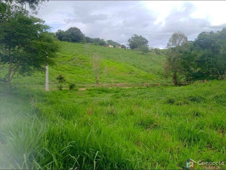 Fazenda, 7000 m² - Foto 2