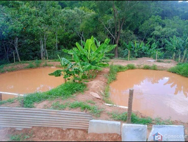 Fazenda, 7000 m² - Foto 8
