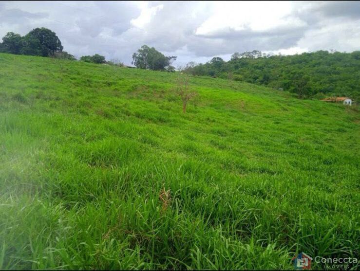 Fazenda, 7000 m² - Foto 5