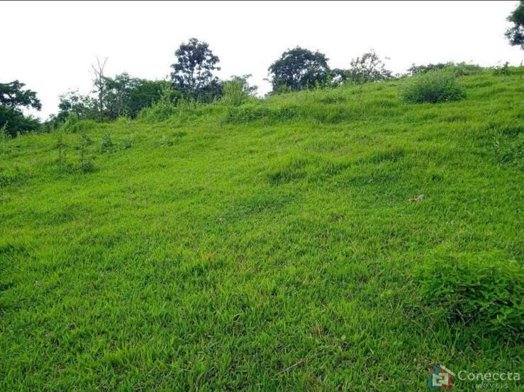 Fazenda, 7000 m² - Foto 6