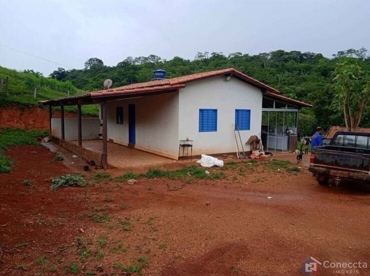 Fazenda, 7000 m² - Foto 3