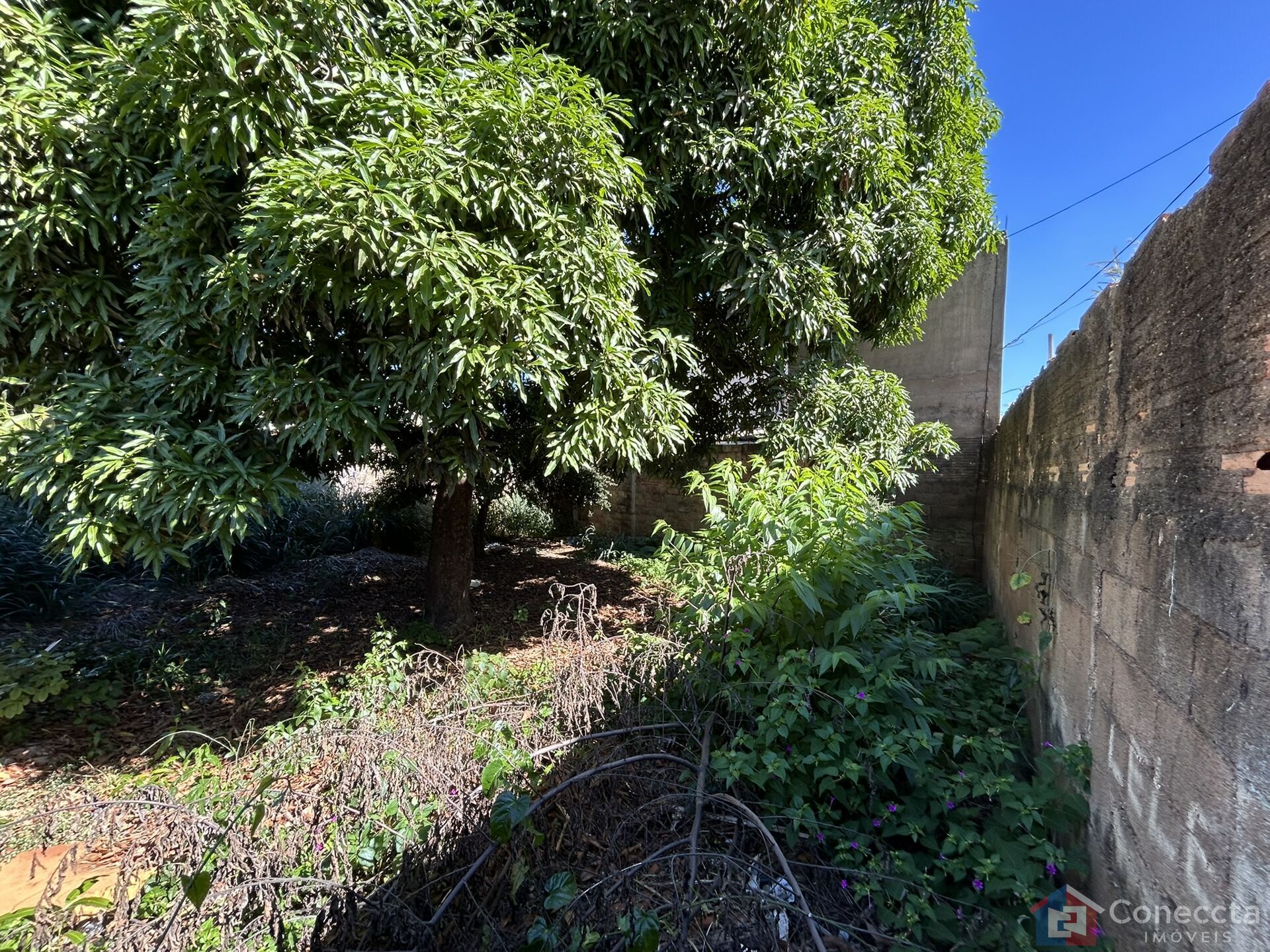 Terreno, 465 m² - Foto 7