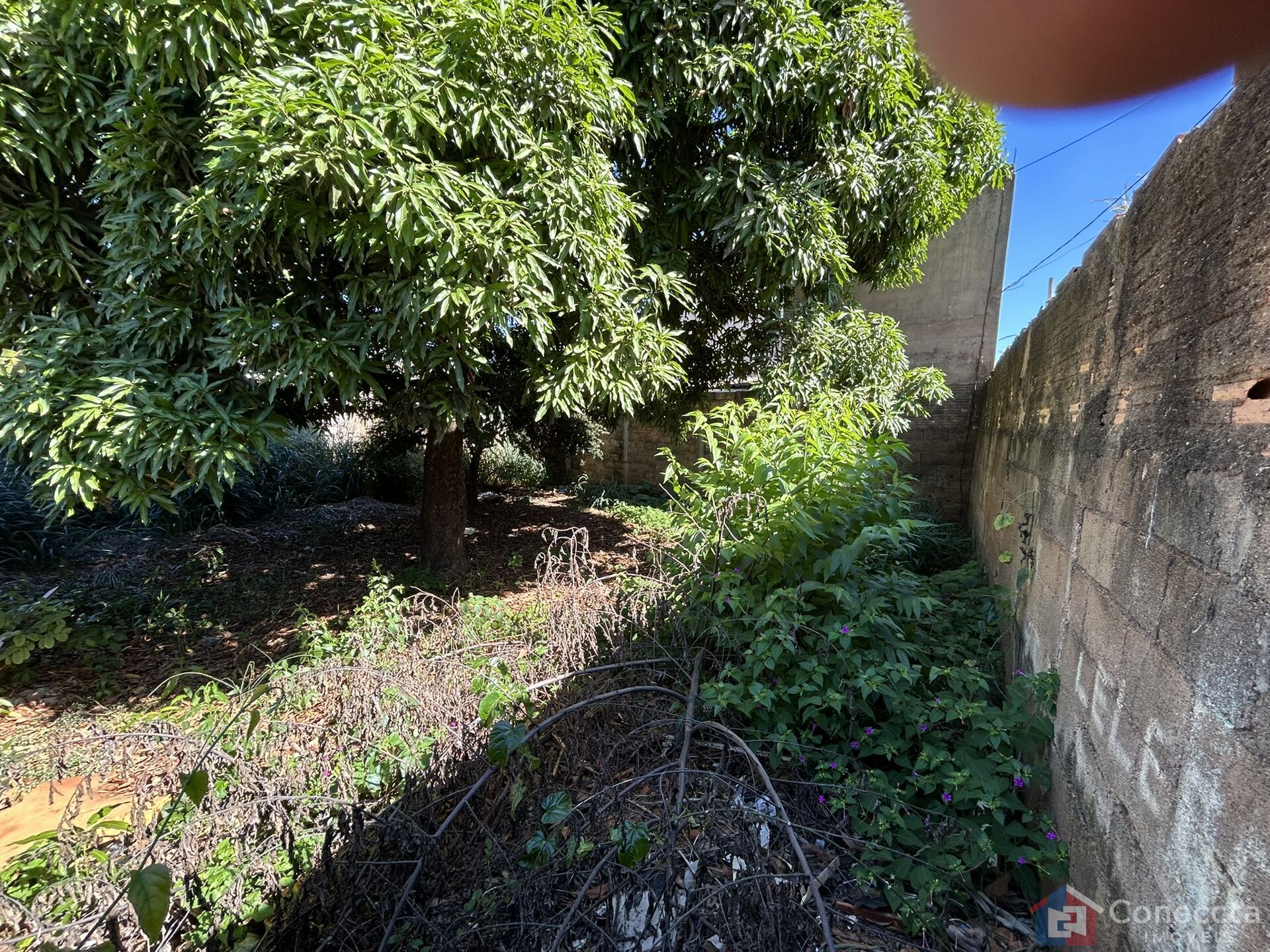 Terreno, 465 m² - Foto 6