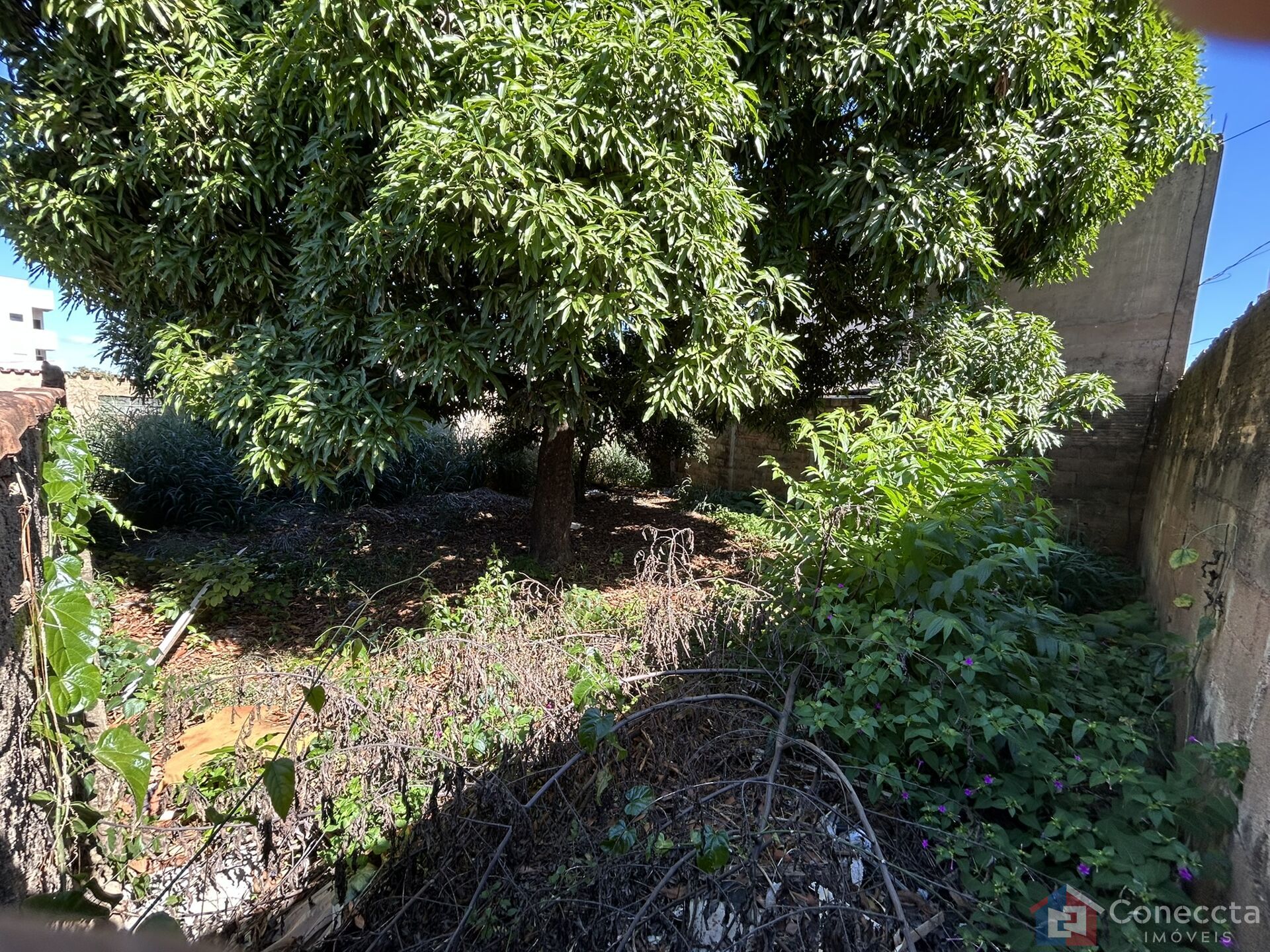 Terreno, 465 m² - Foto 5