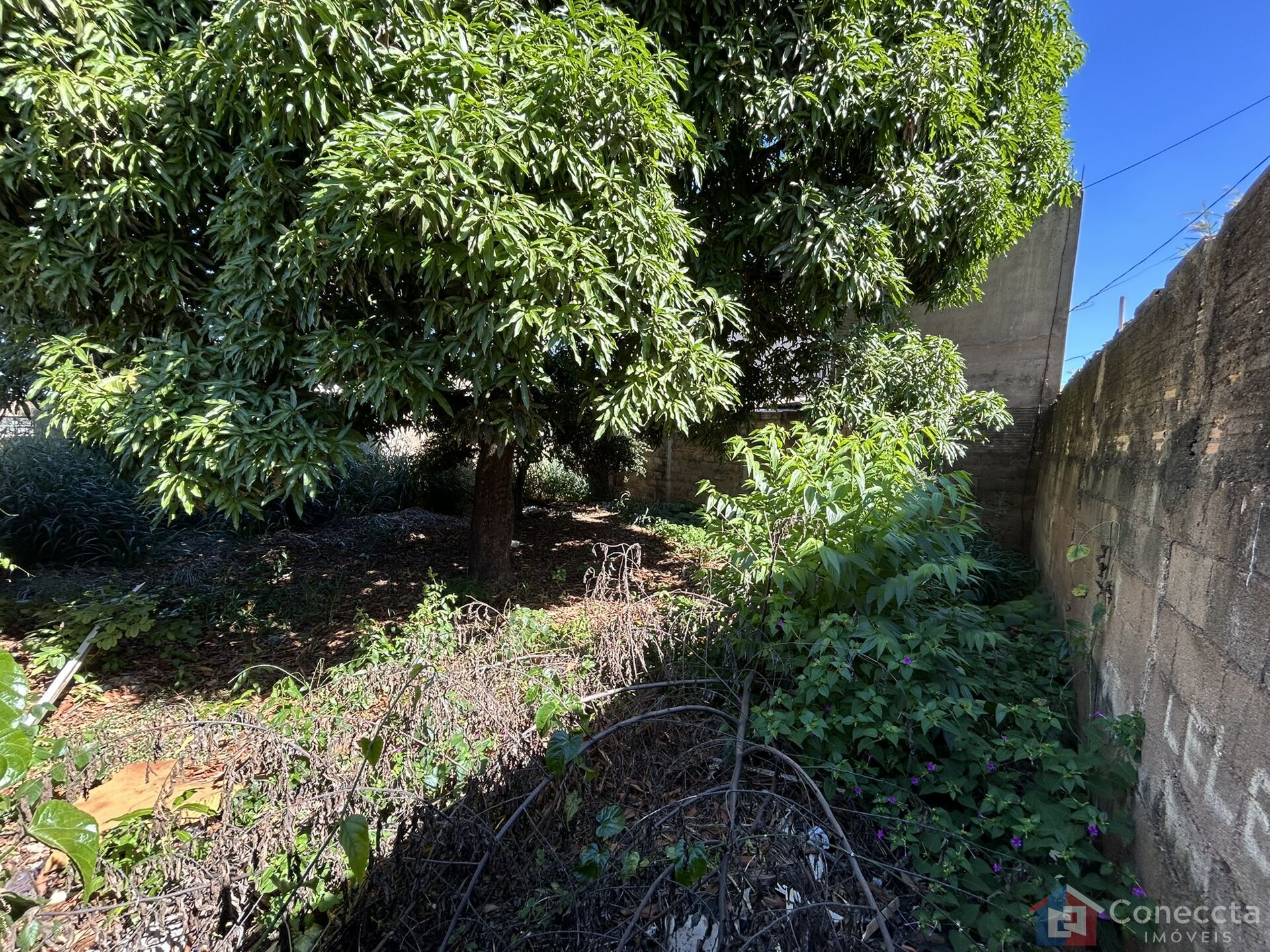 Terreno, 465 m² - Foto 4