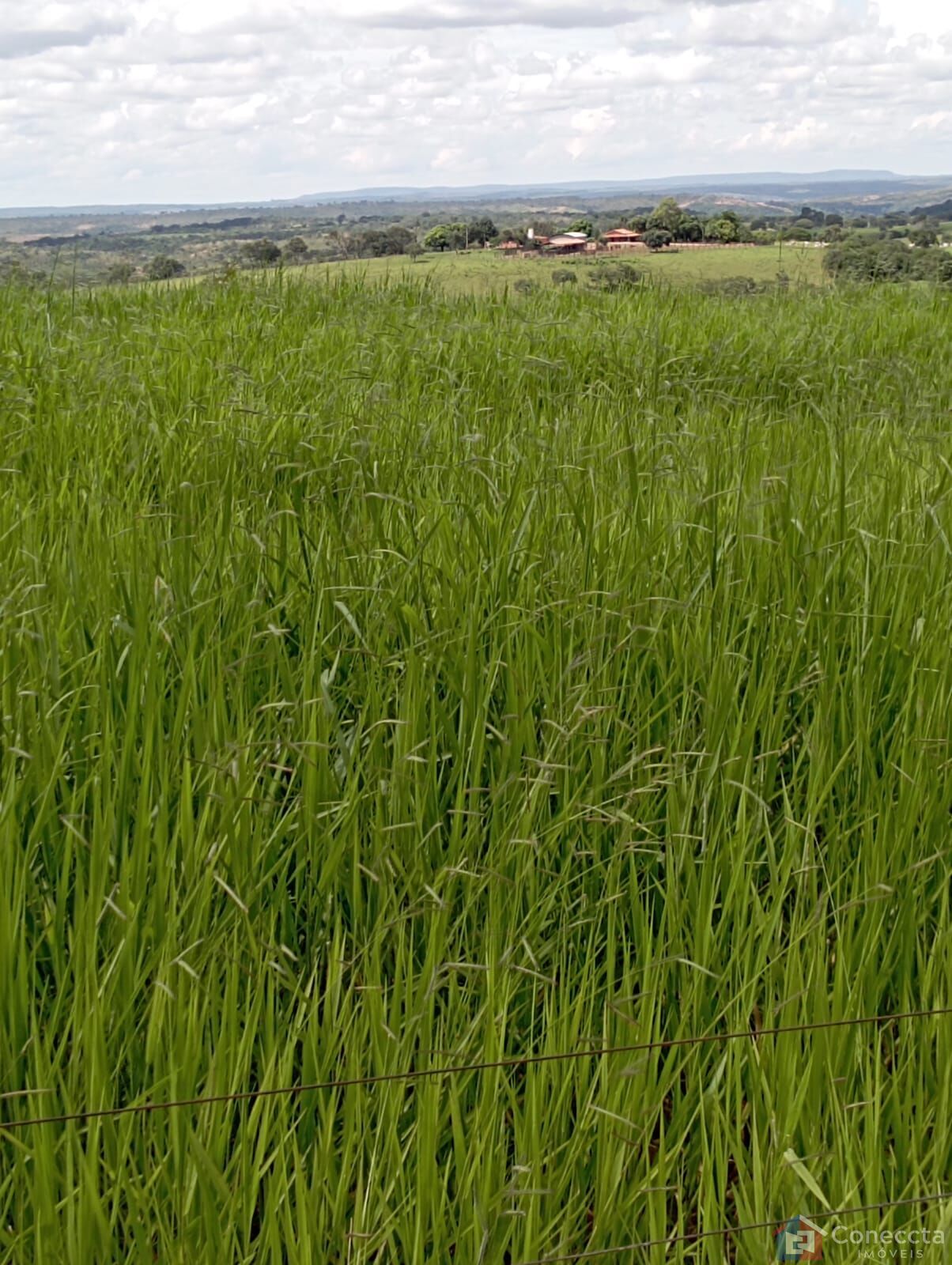 Fazenda à venda, 8080000m² - Foto 2